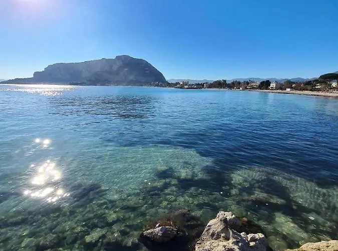 Good Vibes * Mondello